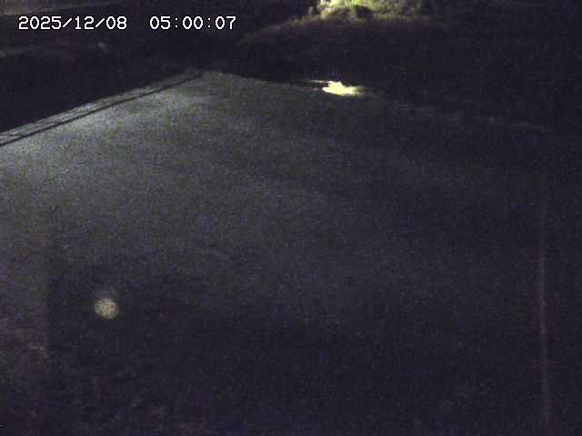 河内川３2025/12/08 11:20