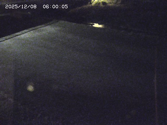 河内川３2025/12/08 11:20