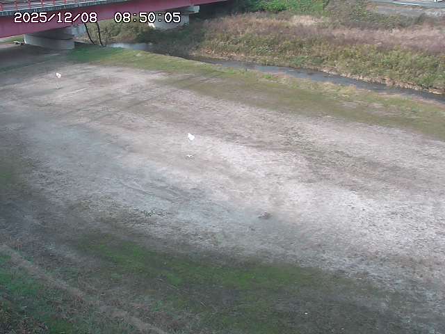河内川３2025/12/08 11:20