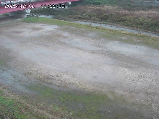 河内川３2025/12/08 11:20