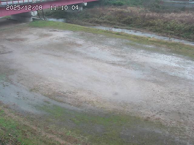 河内川３2025/12/08 11:20