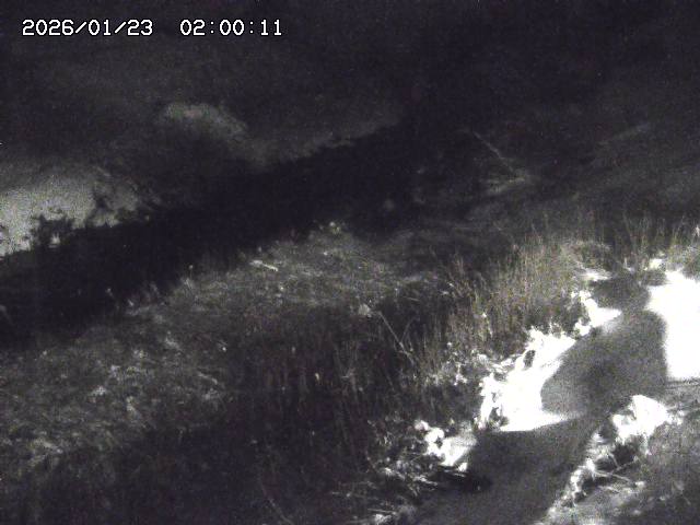 日置川３2026/01/24 02:00