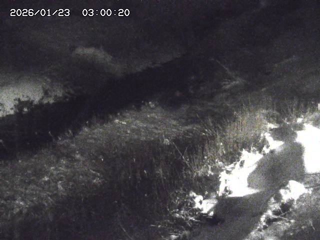 日置川３2026/01/24 02:00