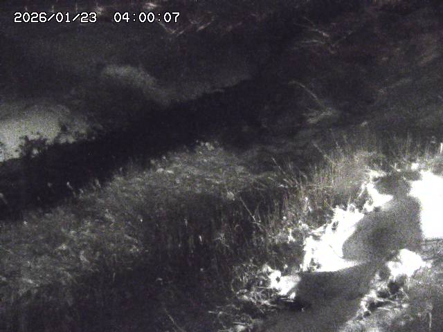 日置川３2026/01/24 02:00