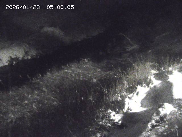 日置川３2026/01/24 02:00