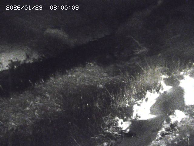 日置川３2026/01/24 02:00