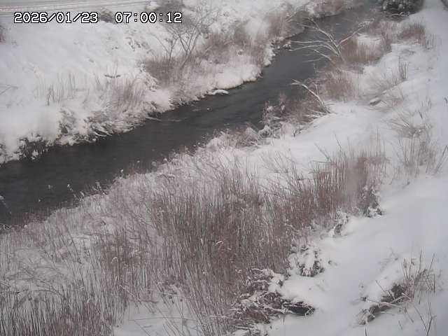 日置川３2026/01/24 02:00