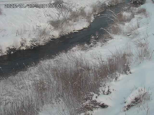 日置川３2026/01/24 02:00