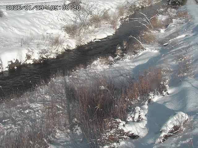 日置川３2026/01/24 02:00