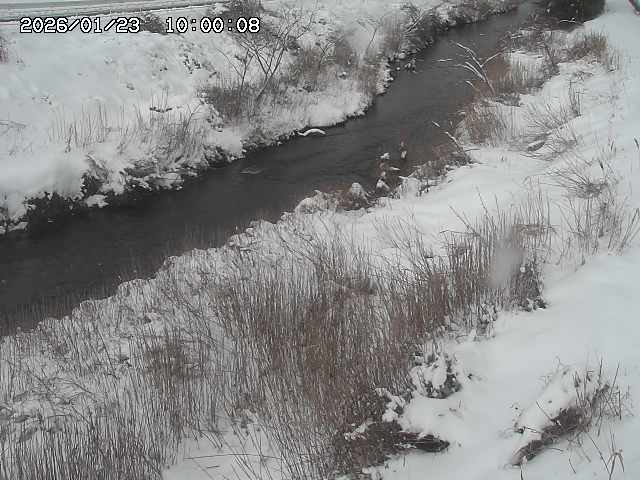 日置川３2026/01/24 02:00