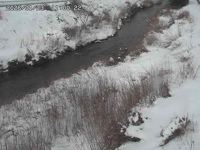 日置川３2026/01/24 02:00