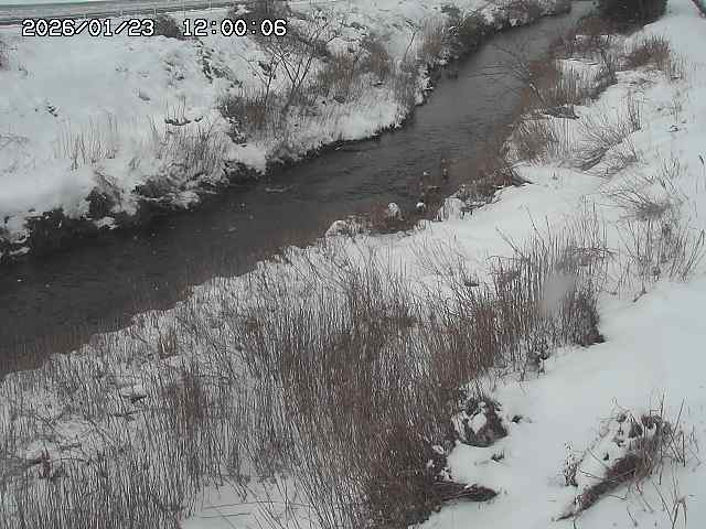 日置川３2026/01/24 02:00