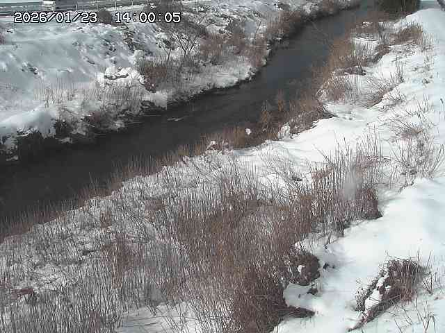 日置川３2026/01/24 02:00