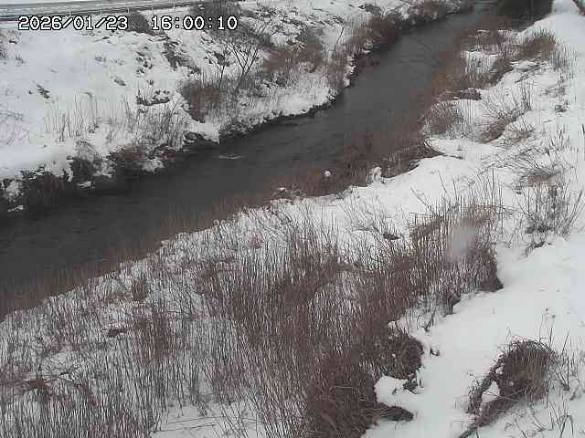日置川３2026/01/24 02:00