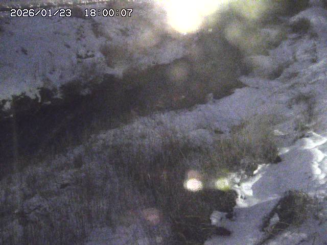 日置川３2026/01/24 02:00