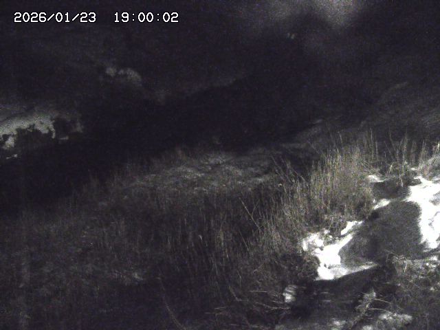 日置川３2026/01/24 02:00