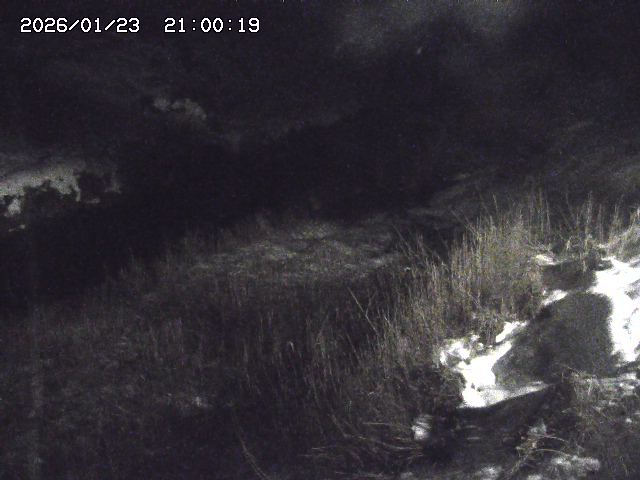 日置川３2026/01/24 02:00