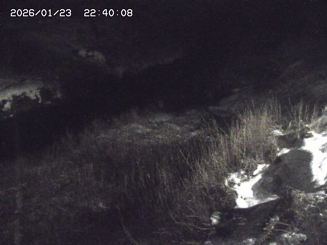 日置川３2026/01/24 02:00