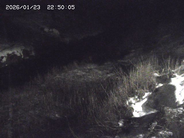 日置川３2026/01/24 02:00