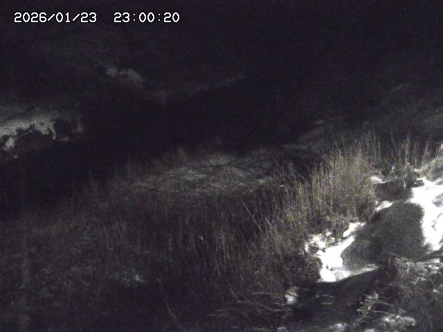 日置川３2026/01/24 02:00