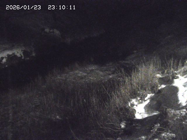 日置川３2026/01/24 02:00