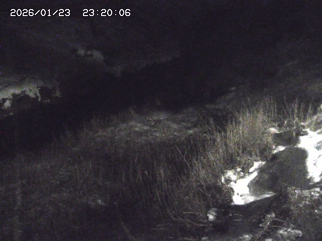 日置川３2026/01/24 02:00