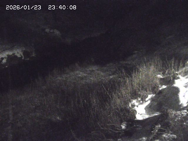 日置川３2026/01/24 02:00