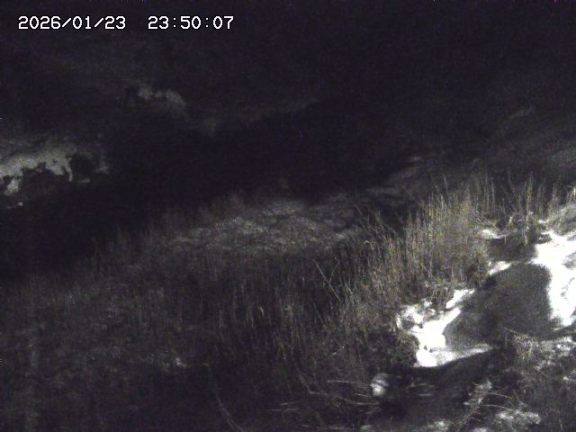 日置川３2026/01/24 02:00