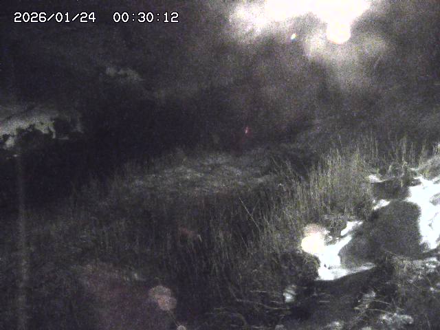 日置川３2026/01/24 02:00