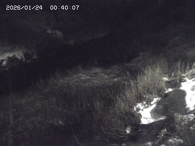 日置川３2026/01/24 02:00