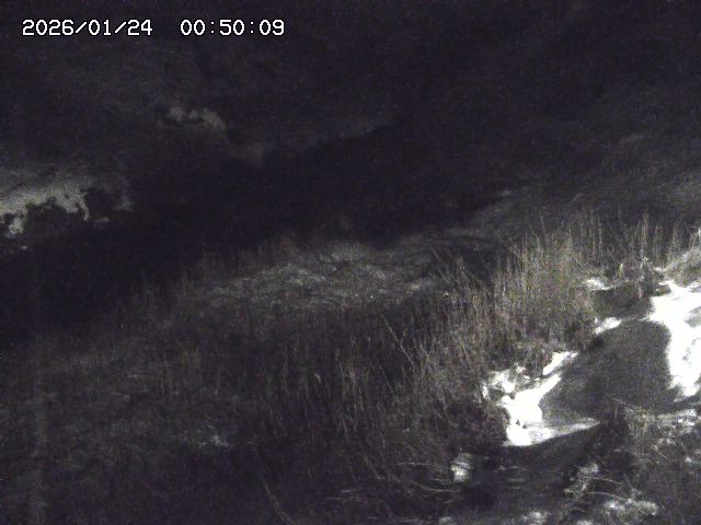 日置川３2026/01/24 02:00