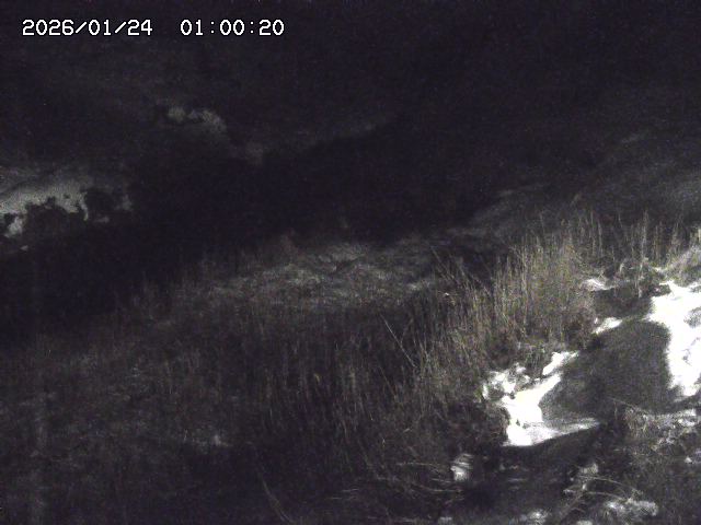 日置川３2026/01/24 02:00