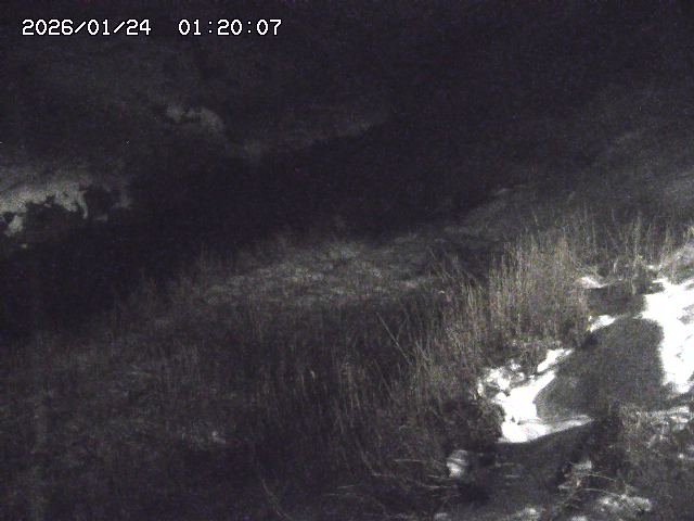 日置川３2026/01/24 02:00