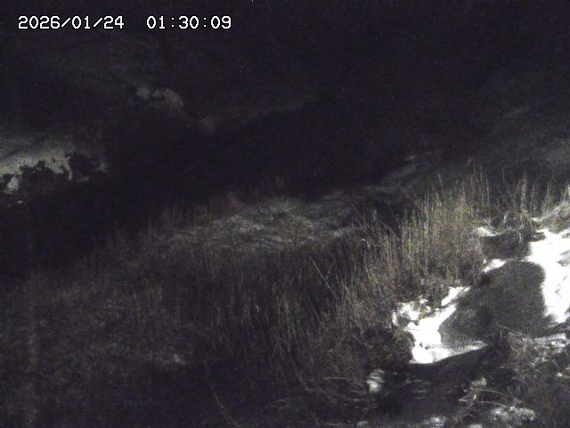 日置川３2026/01/24 02:00