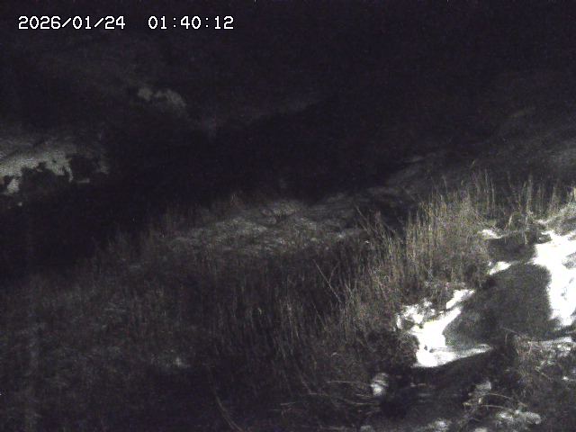 日置川３2026/01/24 02:00