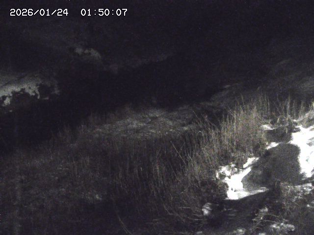 日置川３2026/01/24 02:00