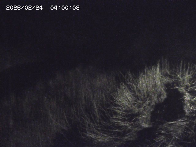 日置川３2026/02/25 02:20