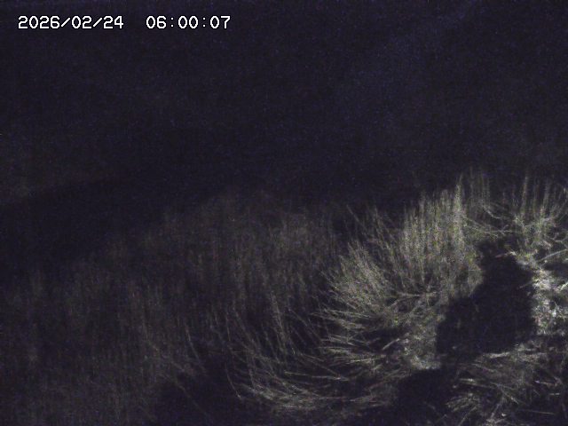 日置川３2026/02/25 02:20