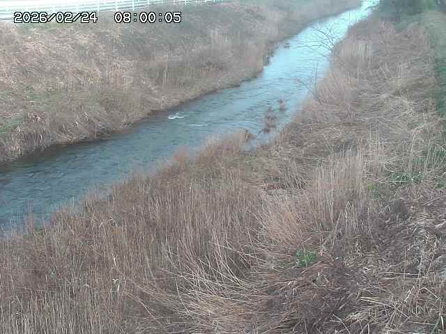 日置川３2026/02/25 02:20