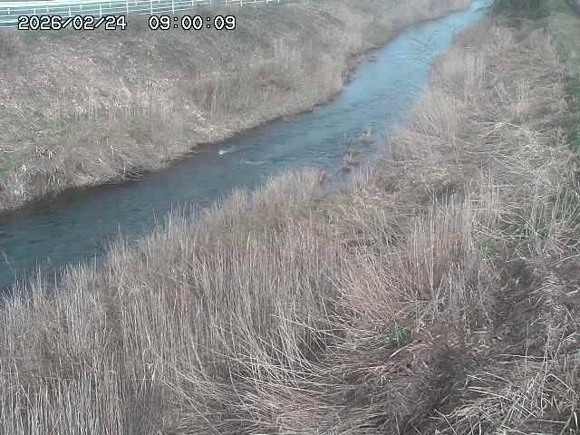 日置川３2026/02/25 02:20