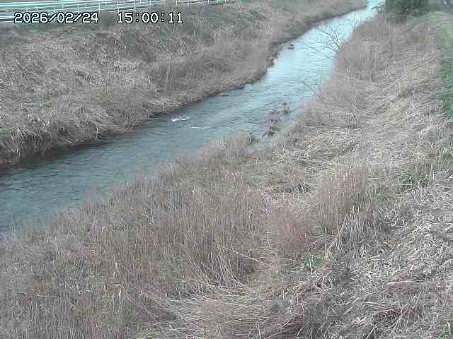日置川３2026/02/25 02:20