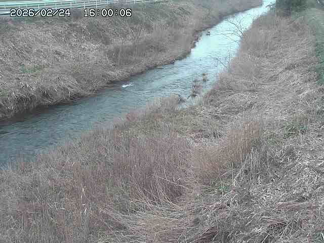 日置川３2026/02/25 02:20