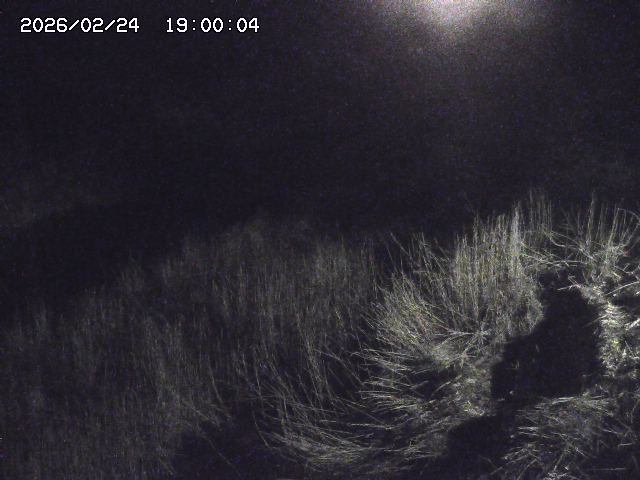 日置川３2026/02/25 02:20