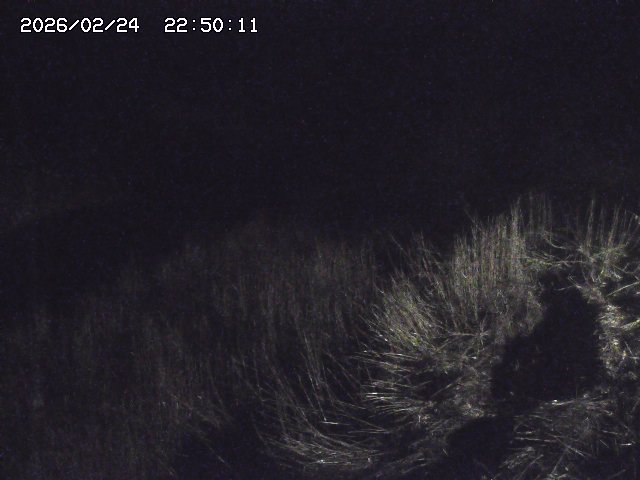 日置川３2026/02/25 02:20