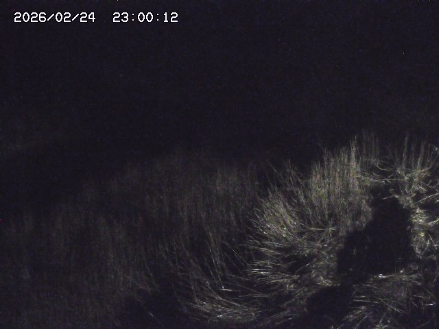 日置川３2026/02/25 02:20