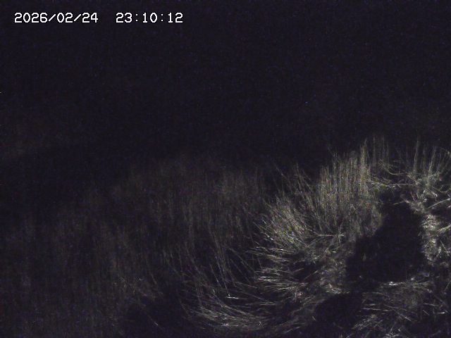 日置川３2026/02/25 02:20