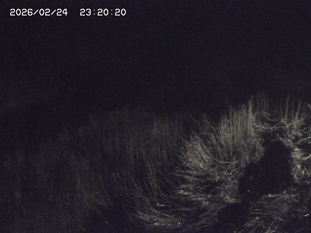 日置川３2026/02/25 02:20