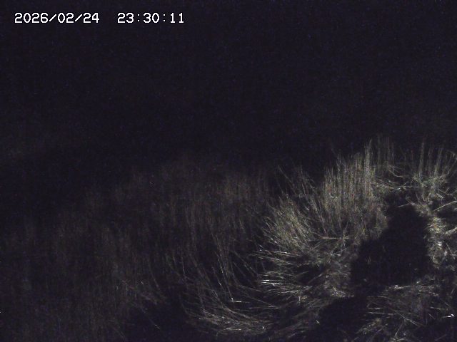 日置川３2026/02/25 02:20