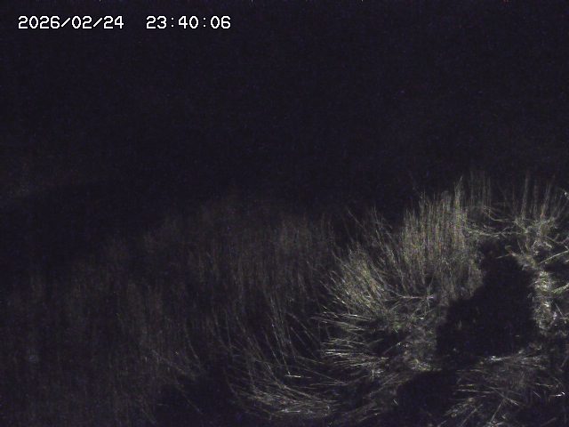 日置川３2026/02/25 02:20