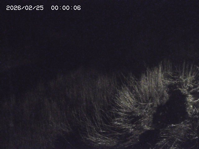 日置川３2026/02/25 02:20